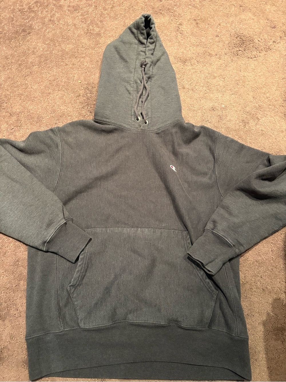 Champion Thick Dark Gray Hoodie Sweatshirt
